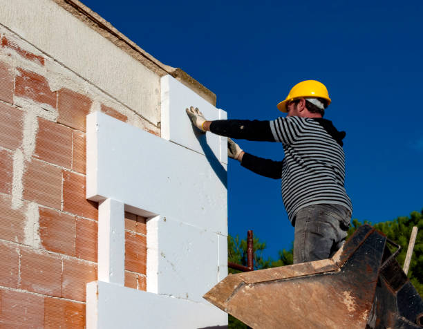 Best Home Insulation Services  in Fayetteville, WV