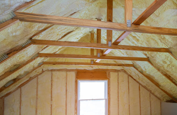 Best Insulation Removal Services  in Fayetteville, WV