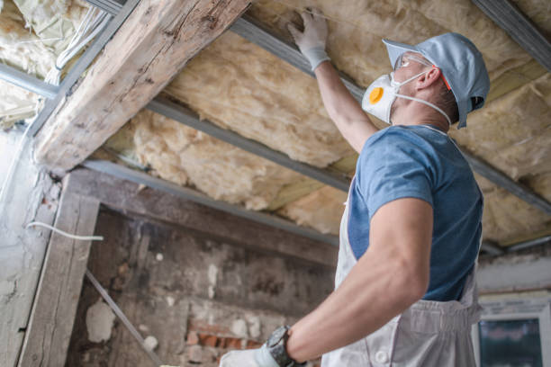 Best Professional Insulation Contractor  in Fayetteville, WV