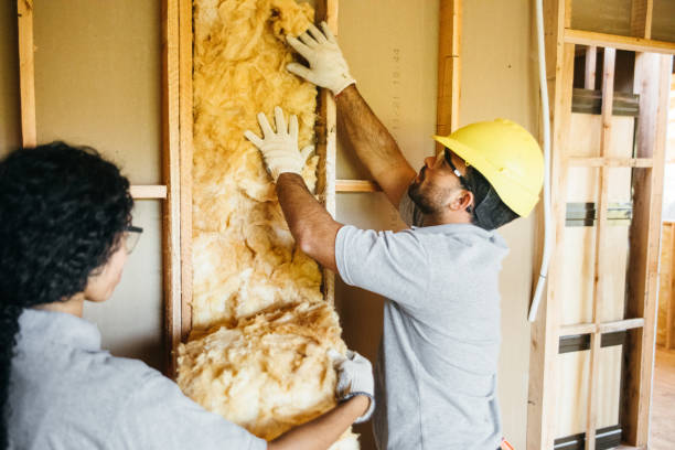 Best Residential Insulation Services  in Fayetteville, WV