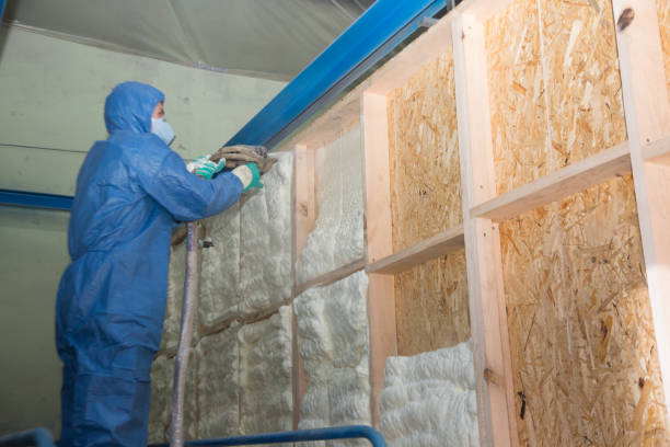 Best Insulation Contractor Near Me  in Fayetteville, WV